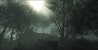 /album/galerie-photos/forest-mine-jpg/